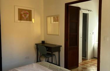 Sweet William - Foto 14