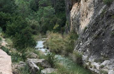 Sota Picasso - Foto 42