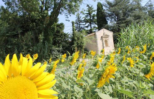 Mas de la Chapelle Sainte-Elisabeth - Foto 45
