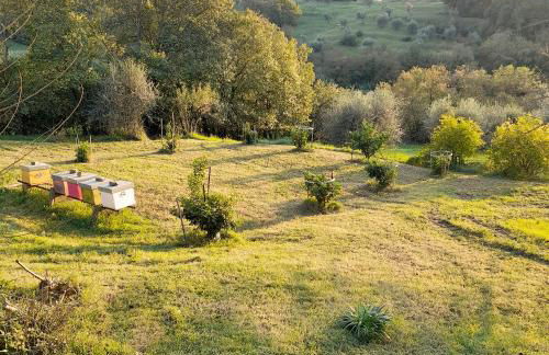 Le Corti - Agriturismo Olio e Vino - Foto 9