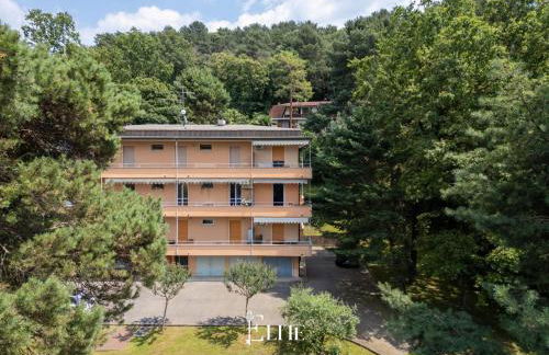 Lake Maggiore View Apt Ranco - Foto 10