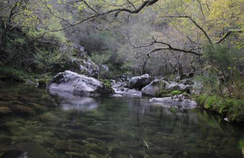Casa Charo Prexigueiro - Foto 24