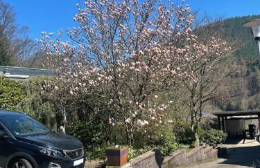 Ferienwohnung Buntspecht - Foto 41