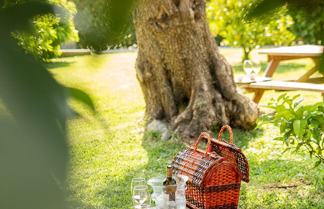 Casa Lata - Wine & Tourism - Photo 63