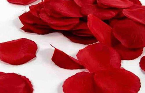 Douceur d’une nuit (studio avec jaccuzi privatif) - Foto 12