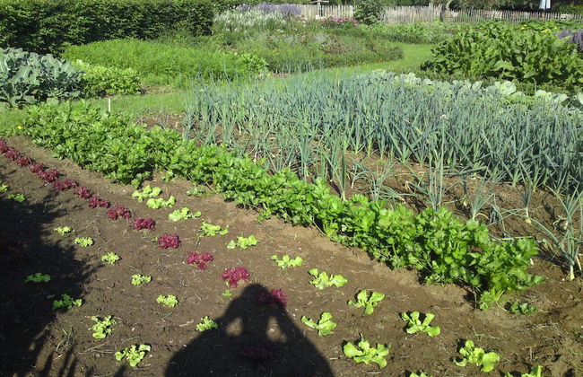 Farmhouse in Reusel Near Cycling Routes - Foto 34