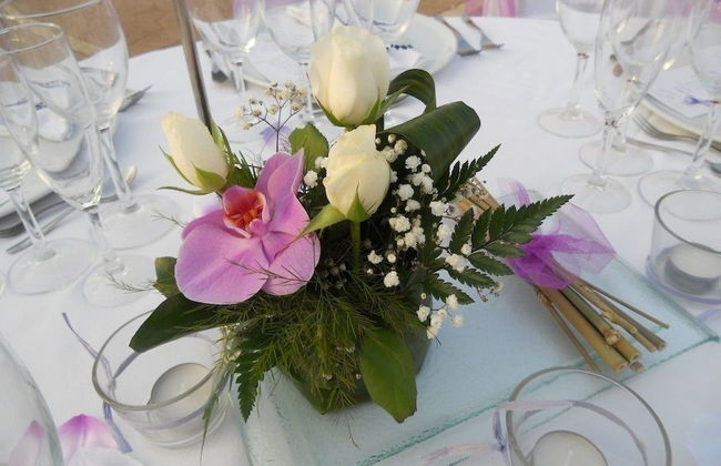 Agroturismo Finca Son Amora - Foto 15