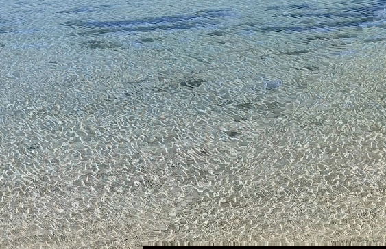 Virginia Bed and Boat - Foto 20