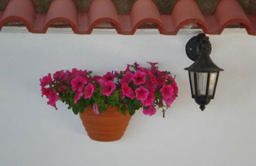 Asteris Village - Foto 24