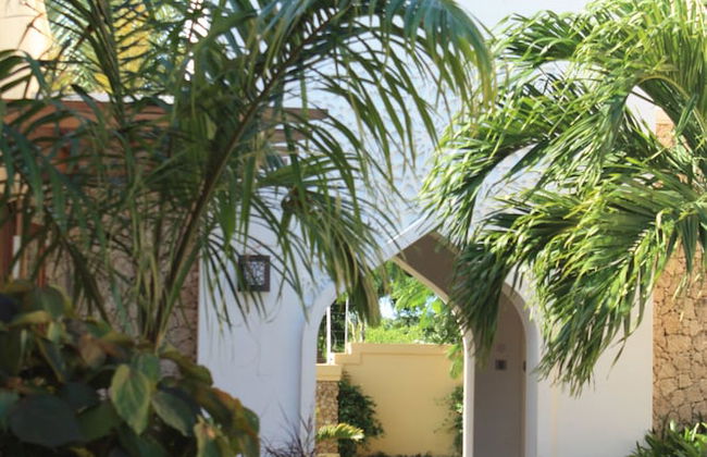 Galu Tulivu - Foto 36