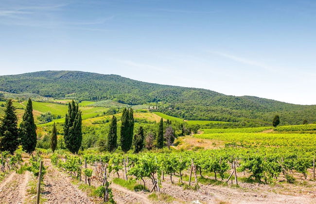 Serene Apartment in Orciatico - Foto 39