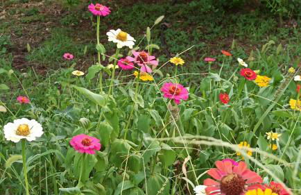 O'GERA Greek resort house in the mountains - Foto 12