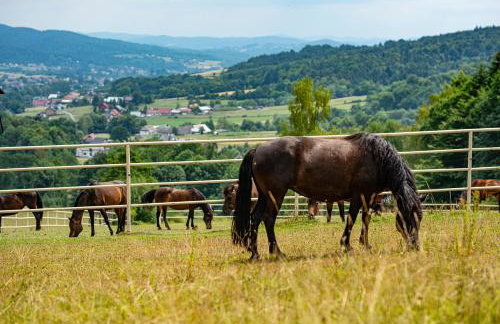 Bacówka Biały Jeleń - Photo 43