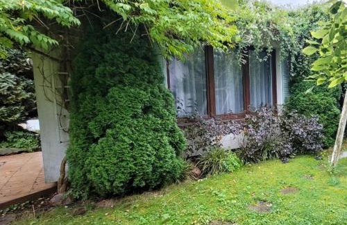 Apartament Szpilka - domek - Foto 4