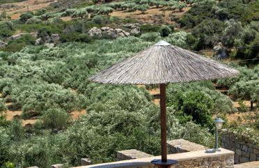 Esperides Stone Houses - Photo 1