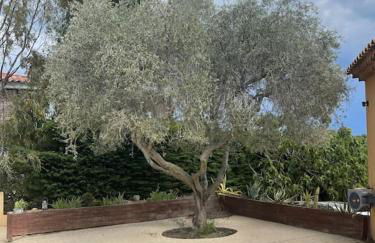 Villa superbe vue mer calme sans vis-à-vis - Foto 60