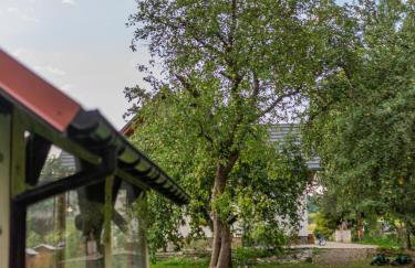 Stodoła Kuźnia Mazura - Foto 47