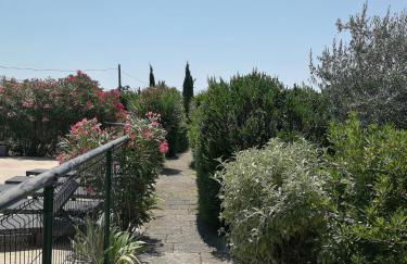 Appartements - Le Mas des Oliviers - Foto 26