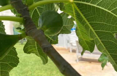 Villa Eagle - Foto 9