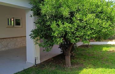 Giloma House - Foto 9