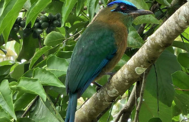 Macho Mora Mountain Lodge - Foto 24