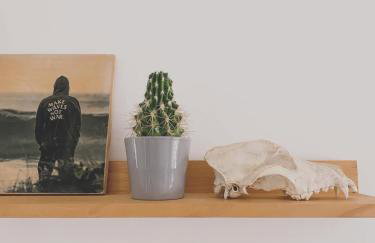 Casa Biota - Foto 70