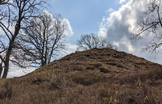 4 Person Holiday Home in Ans By - Foto 19