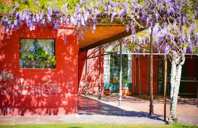 Estancia La Violeta - Foto 57