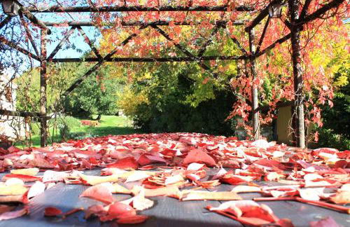 Country House Il Biroccio - Foto 32