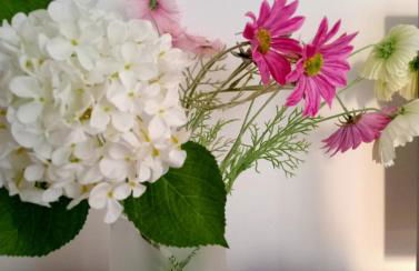 Appartamento Confine - Foto 9