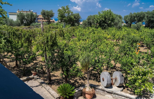 Lemon Factor Sorrento - Photo 68