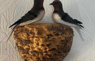 Sperberhorst - Foto 9