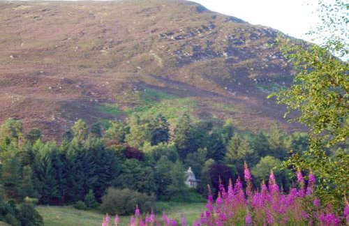 5 Bed in Blairgowrie oc-ca409 - Foto 37