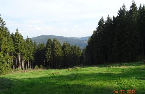 Zur Scheune - Foto 36