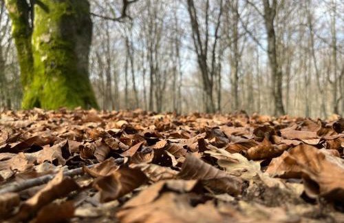 Agroturismo Gorbeabide - Foto 32