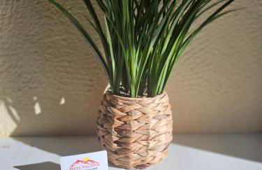 META VOLANTE - Foto 40