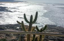 Matosinhos -Seas Apartment- Cabo das Marés - Foto 42