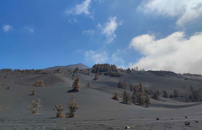 Tajogaite Volcano Hike - Foto 1