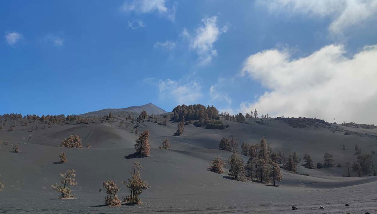 Tajogaite Volcano Hike - Foto 1