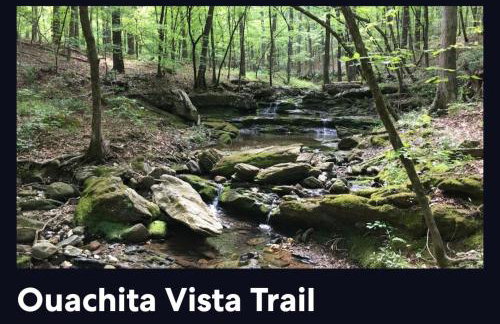 Bear Den on Lake Ouachita 2BR Condo at Mountain Harbor Resort - Foto 146