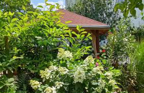 Urlaub mit Charme in der kleinsten Stadt der Pfalz. - Foto 62