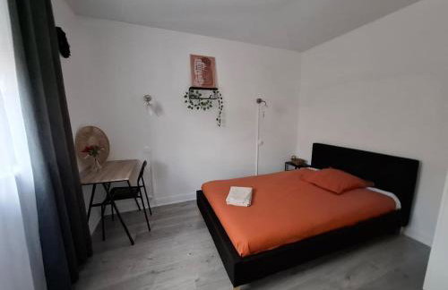 Grand 3 Bedroom Apartment Dijon - Foto 9