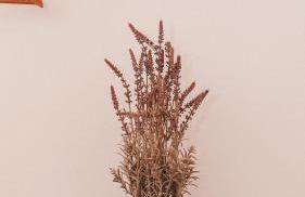 The Blue House Valley - Foto 33