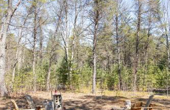 Cinders Whispering Waters and Wilderness Escape - Foto 36