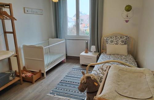 Colmar Friends and Familly guest home - ALL INCLUSIVE - COLMAR Gare - Jardin - Combles et Vous - Foto 7