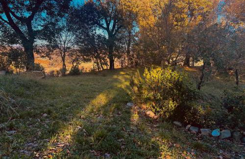 Antica Fiera - Foto 13