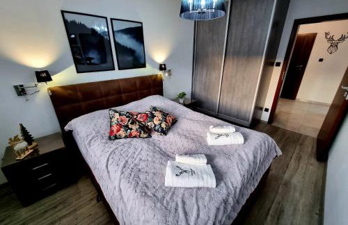 Apartament Jelonek w Karkonoszach - Foto 25