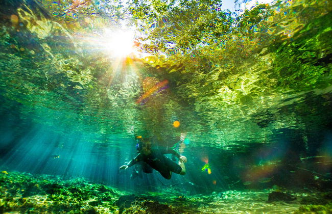 Snorkeling nei fiumi Prata e Olho d'Água - Photo 3