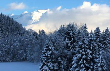 Sallanches 3101 Route de Nant Cruy immeuble le Grand R - Foto 11