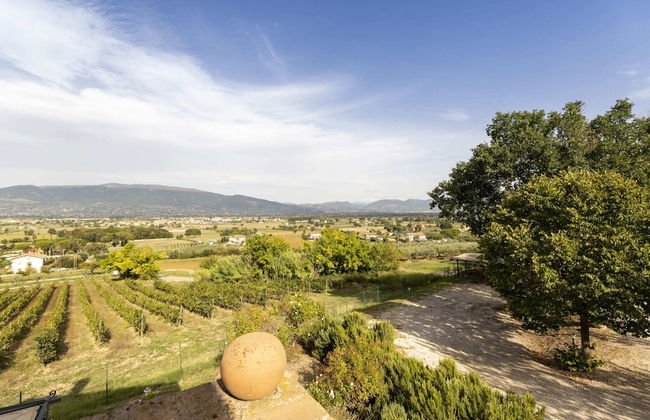 Classic Villa for Family With Pets - Photo 38